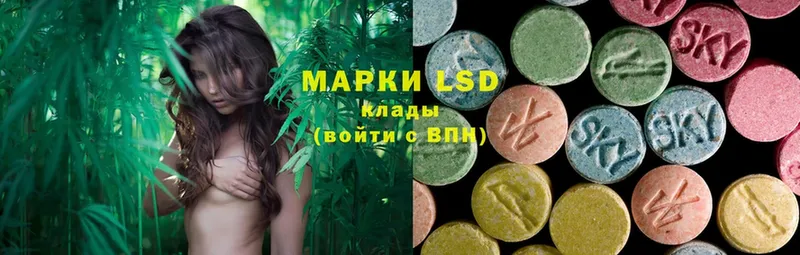 закладка  Вихоревка  mega как войти  LSD-25 экстази кислота 